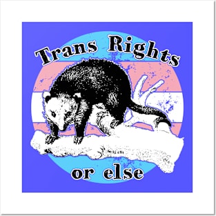 Trans Rights - Opossum Posters and Art